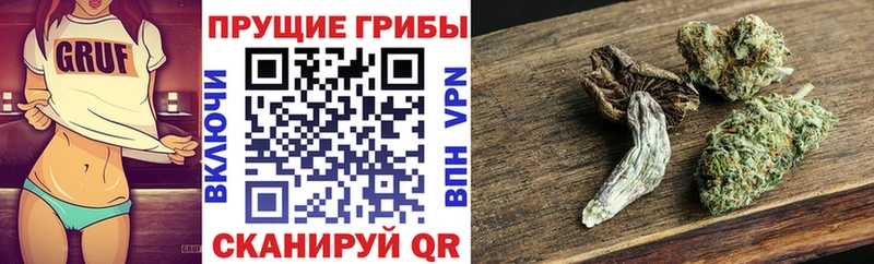Псилоцибиновые грибы Psilocybine cubensis  Краснодар 